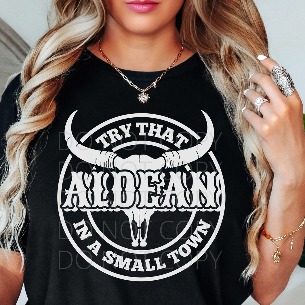 Circle Try that in a Small Town bull skull aldean single color screen print