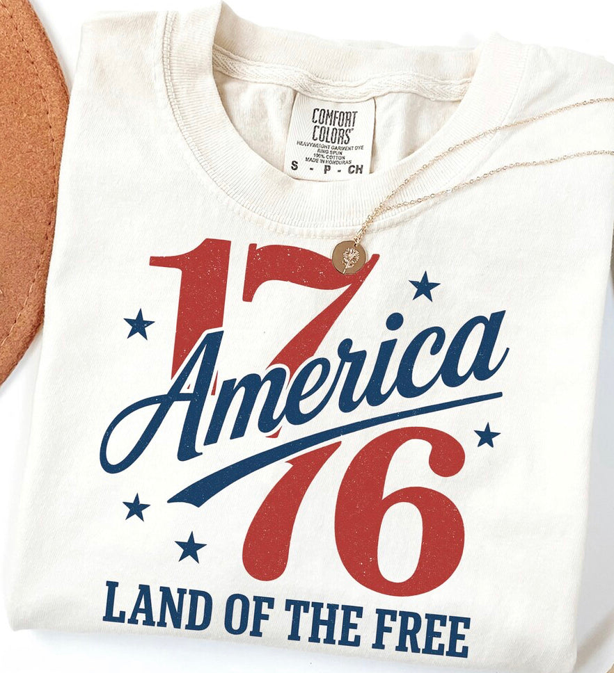 1776 America DTF transfer