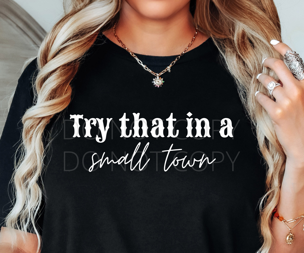 Try that in a Small Town aldean front single color screen print