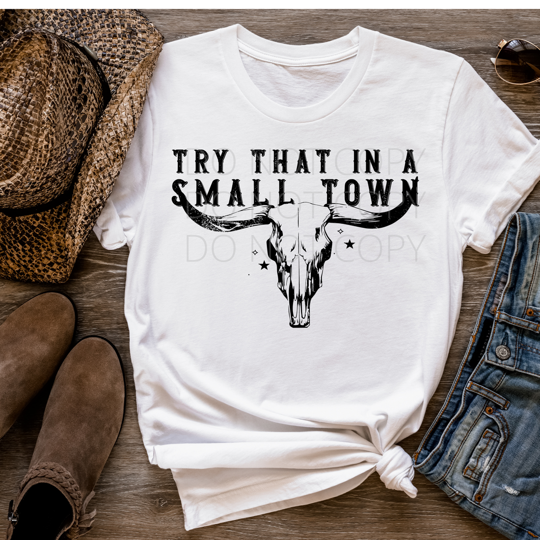 Bull Skull Try that in a Small Town aldean single color screen print