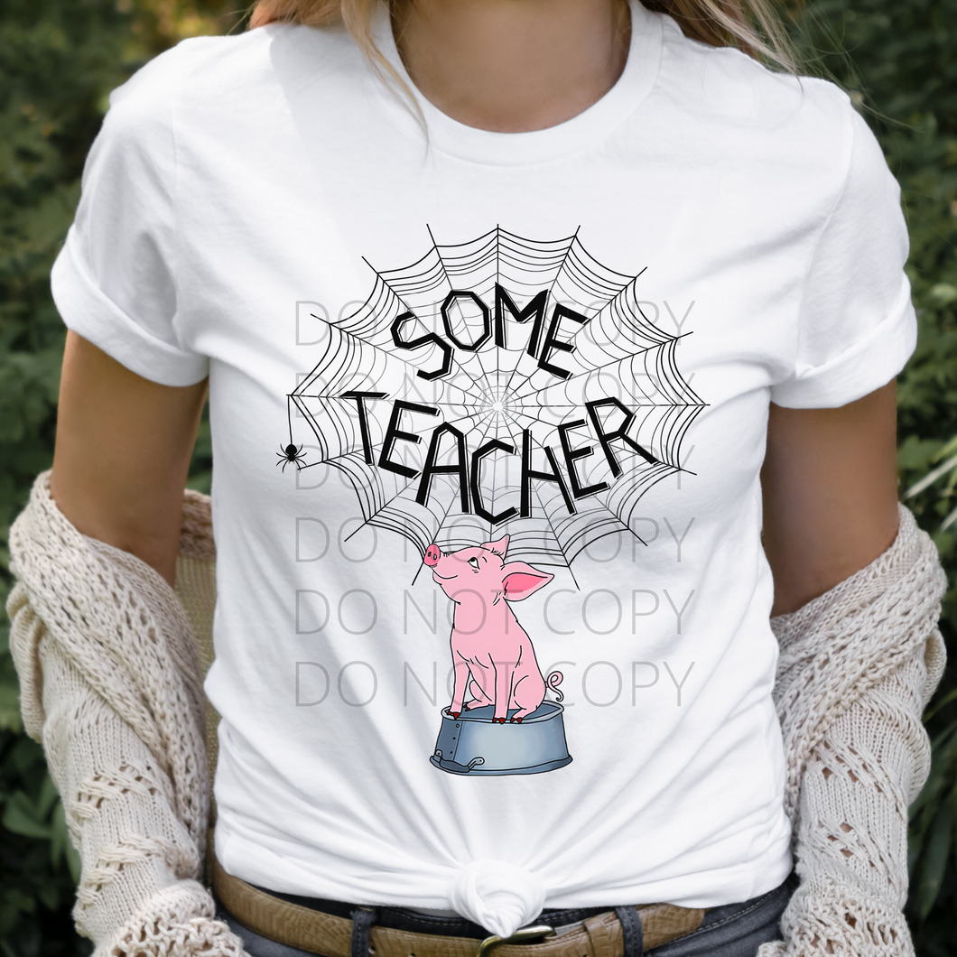 RTS Some Teacher school Screen Print Transfer adult size