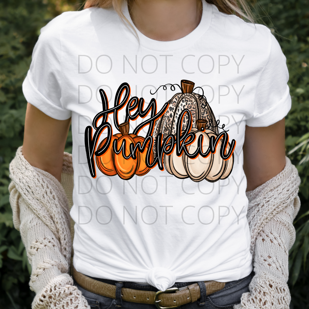 Hey Pumpkin fall **THIN** Screen Print Transfer adult size